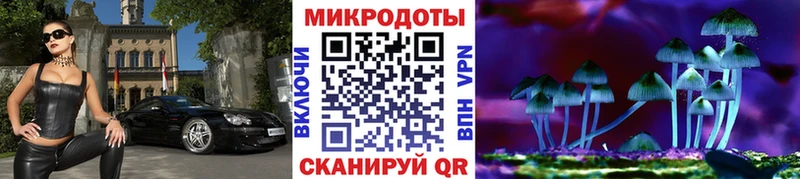 купить наркотики цена  Северодвинск  Псилоцибиновые грибы Psilocybe 